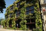 建筑綠化及景觀提升