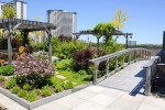 居住空間景觀提升高檔公寓屋頂花園