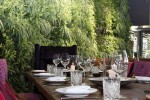 餐廳垂直綠化景觀提升