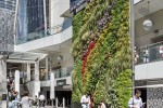 購物中心景觀提升建筑綠化