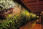酒店賓館景觀提升室內植物墻垂直綠化