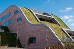 公共空間景觀提升醫院屋頂綠化