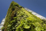 酒店賓館景觀提升植物墻垂直綠化
