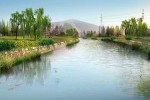 入江口景觀提升河堤綠化