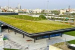 公共空間景觀提升公園屋頂綠化