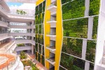 學校醫院景觀提升學校垂直綠化