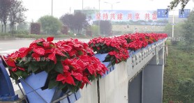 重慶花博會護欄綠化景觀提升