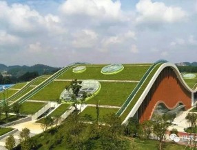 生態城市藝術 | 用自然激活城市屋頂空間
