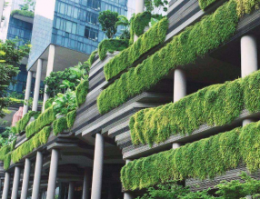 助力城市碳中和，立體綠化解決方案有哪些？