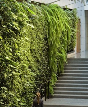 植物墻垂直綠化