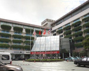 杭州望湖賓館窗臺綠化案例