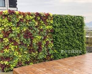 杭州西溪谷商務中心屋頂花園工程案例