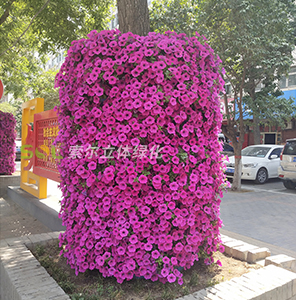行道樹綠化-花盆式組合造景