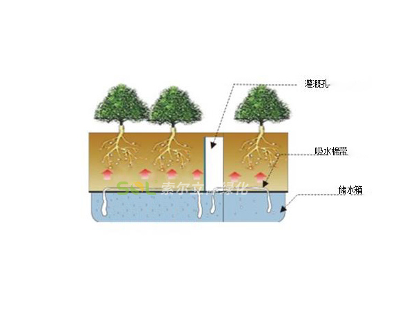 行道樹綠化-模塊式組合造景系列灌溉示意圖