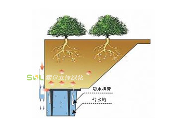 行道樹綠化-組合花盆系列灌溉示意圖