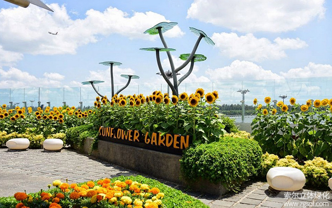 29新加坡樟宜機場屋頂花園向日葵花園 (2).jpg